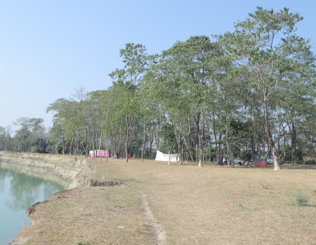 Pahumara Chapori